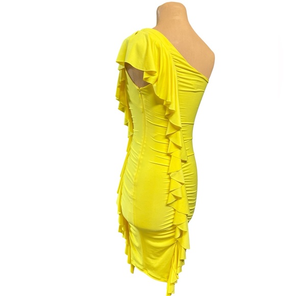 Cache, Rushed Ruffles One Shoulder Cocktail Dress, - Picture 3 of 8